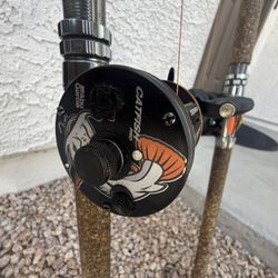 Whisker Seeker Abu Garcia Catfish Pro Fishing Rod Fishing Reel
