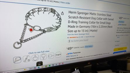 Herm Sprenger Collar Dog