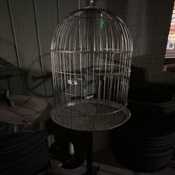 Outside Bird Cage