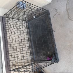 Large Dog Kennel