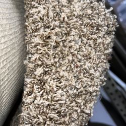 Brown Carpet 