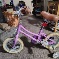 Lil girls tricycle