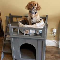 Dog Bed- Bunker Bed For Dogs/cats 
