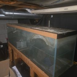 125 Gallon Fish Tank W/ Stand