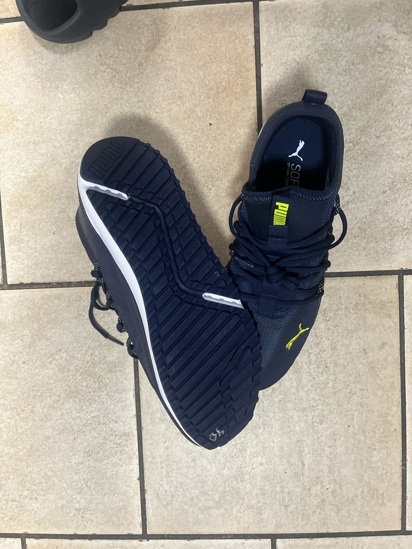 Puma