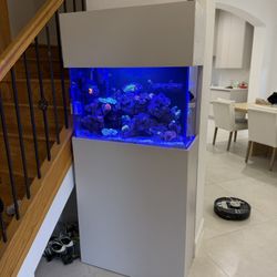 Selling My Custom Built 29g Reef Tank 