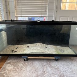 125 Gallon Fish Tank