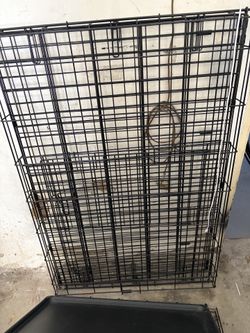 Large dog crate  2 1/2 x 3 1/2