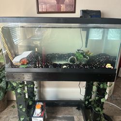 40 Gallon Fish Tank And Custom Stand With Food! 