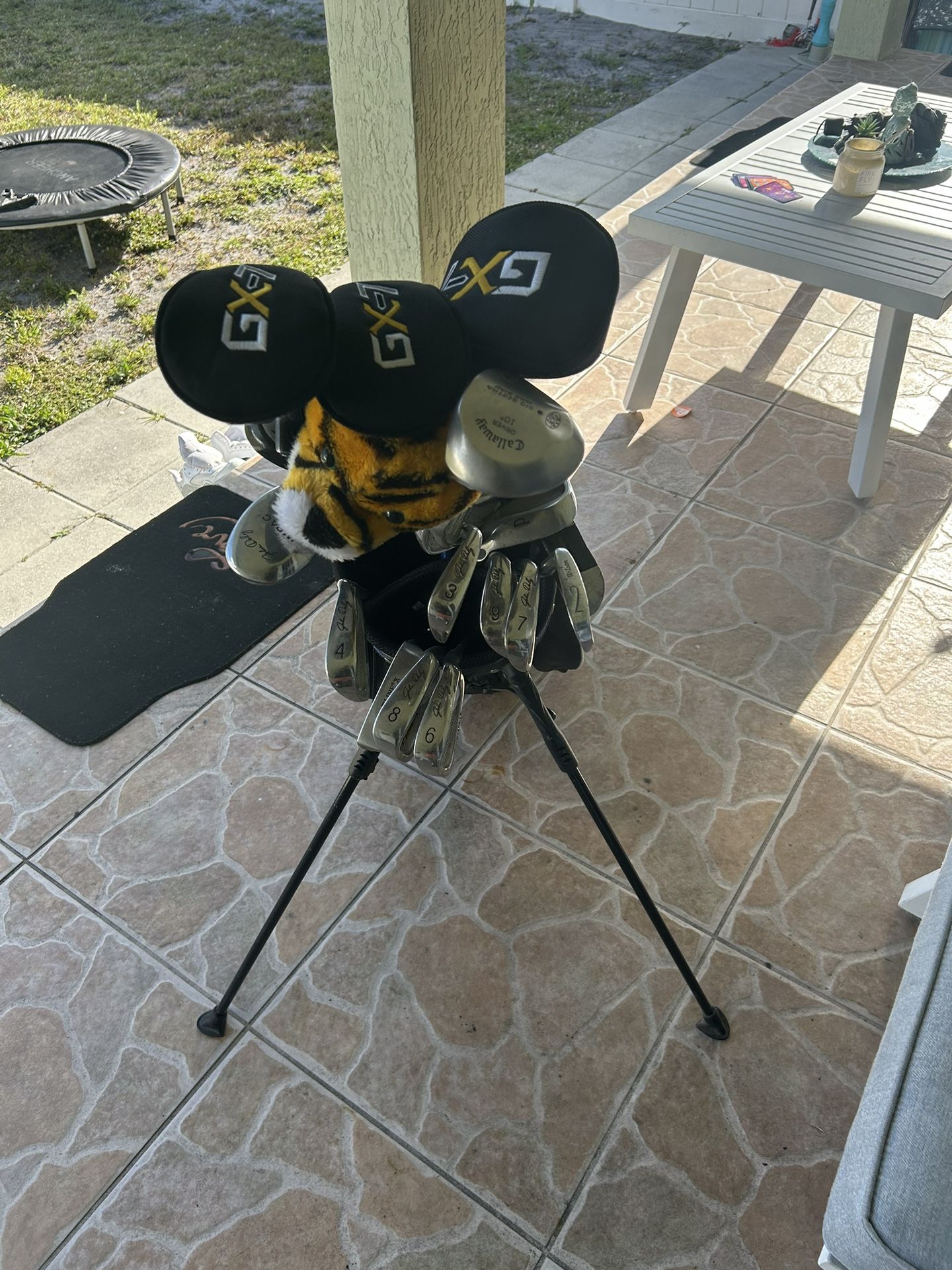 Golf Bag With GX-7 Golf Set