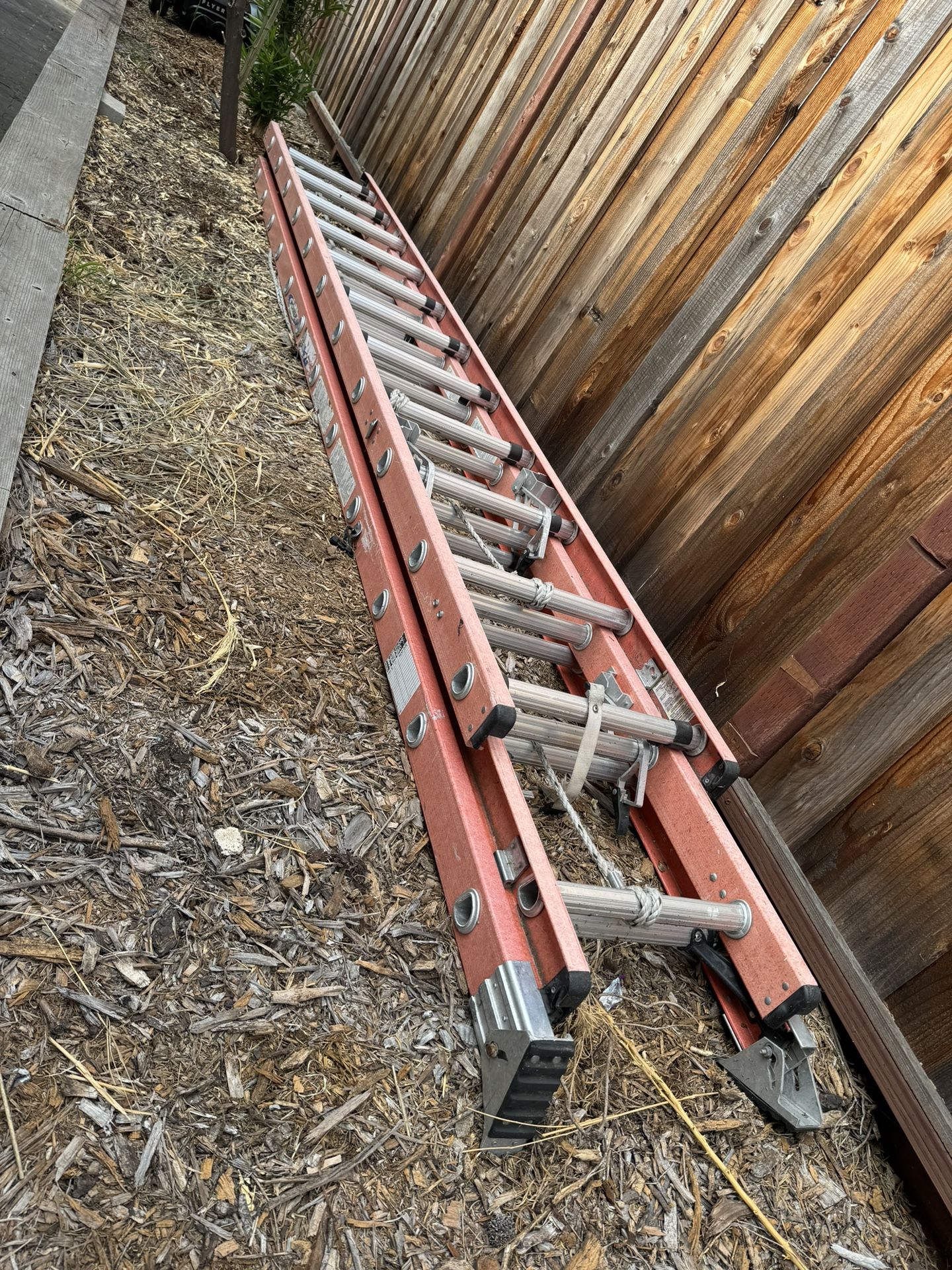 Ladder
