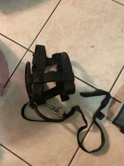 Caesar Millan the illusion dog collar and leash