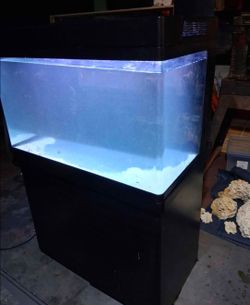 Fish tank