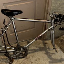 Vintage Zebra Road Bike