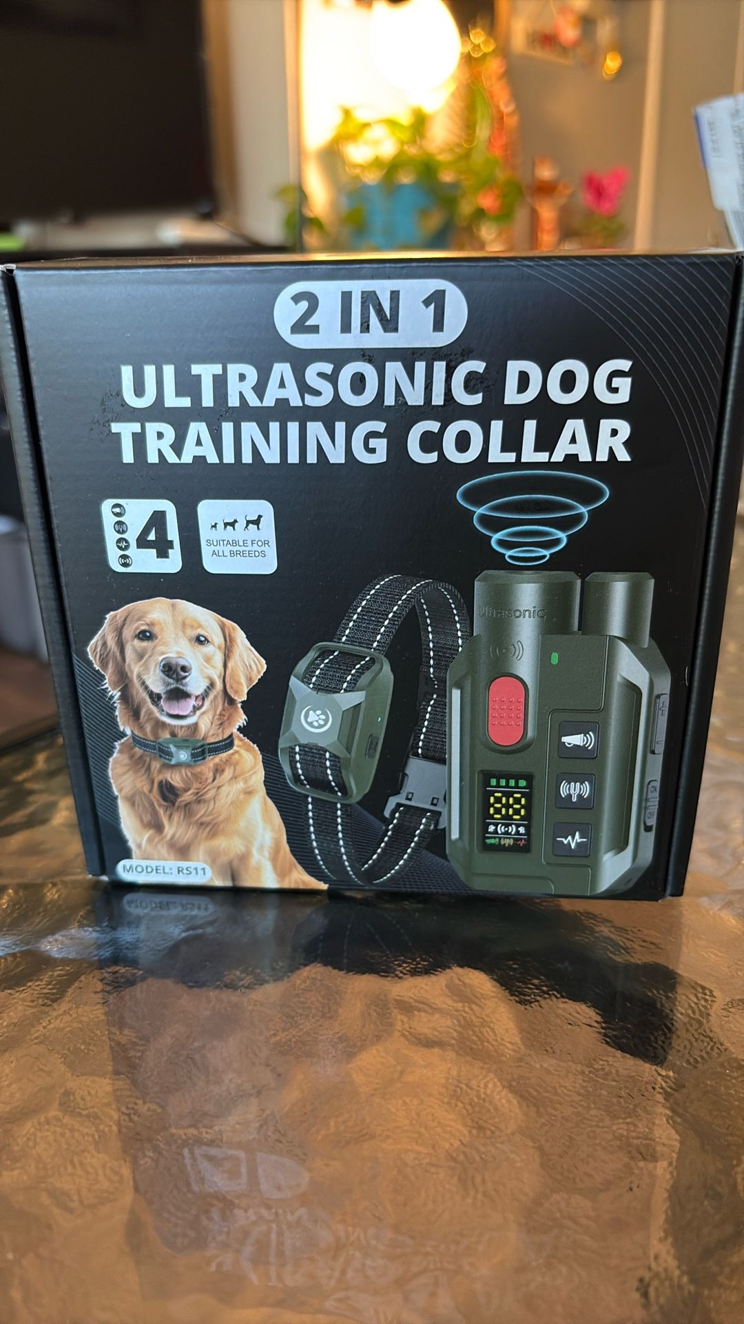 Training Dog Collar 