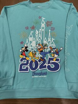 Disneyland Sweatshirt Size 3XL