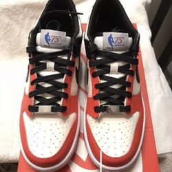 Nike Dunk Low EMB NBA 75th Anniversary Chicago Size 7Y