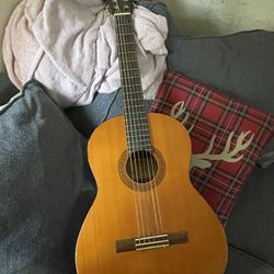 Acoustic Guitar