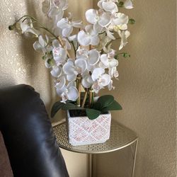 Orquídea Color Blanca