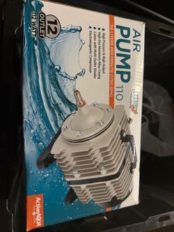 Air pump