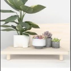 Desktop Shelf Plant Stand Charcuterie Board NEW