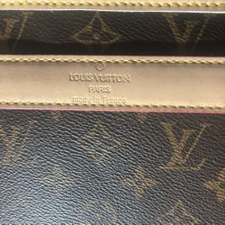 Luis Vuitton Dog Carrier 