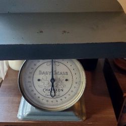 ⚖️ BABY SCALE 👶🏻