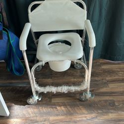 Shower And Toilet Chair