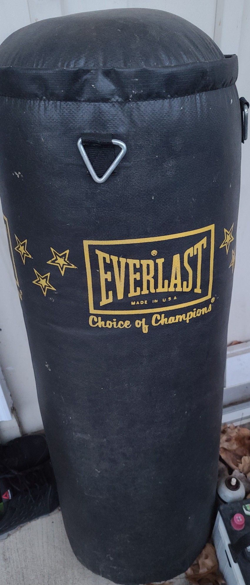 Everlast 80lb Punching Bag 