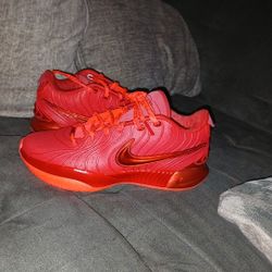 Nike LeBron 21 James Gang Basketball Shoes Size 10