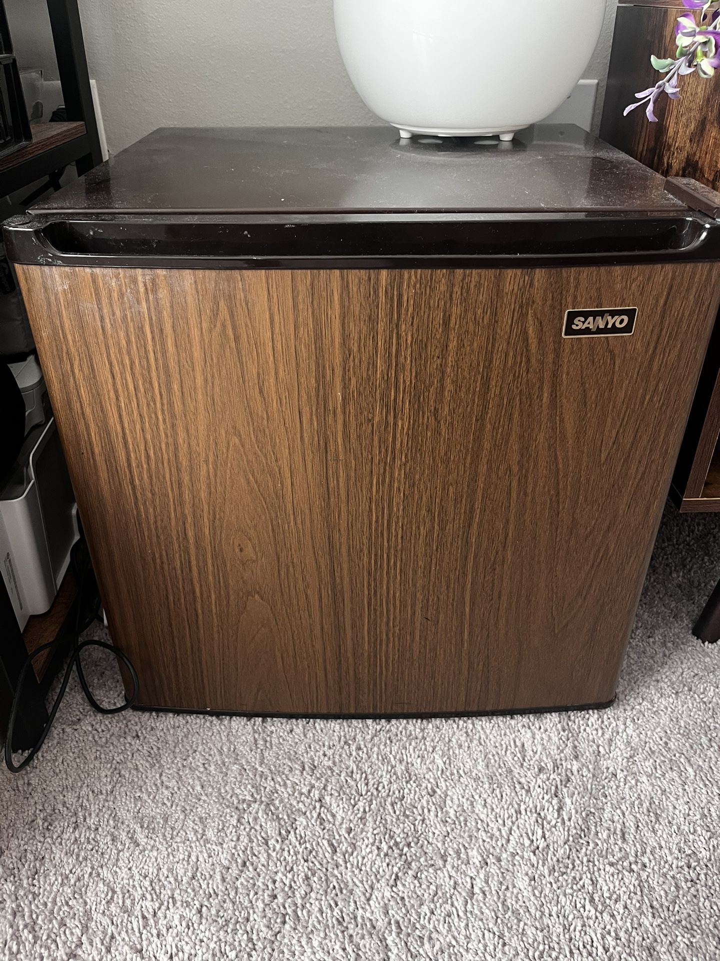 Mini Fridge