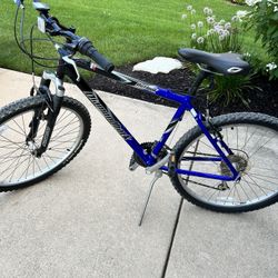 Adult bike with bike computer