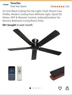 Ceiling fan