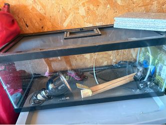 Terrarium/reptile tank setup (glass tank, screen lid, heat lamp, thermostat/accessories)