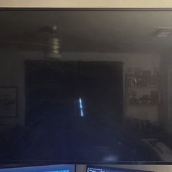 Visio 55" TV With Wall Mount