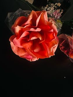 10pc NEW Michaels Ashland "Faux Real" Orange Diana Tea Rose Stems NWT
