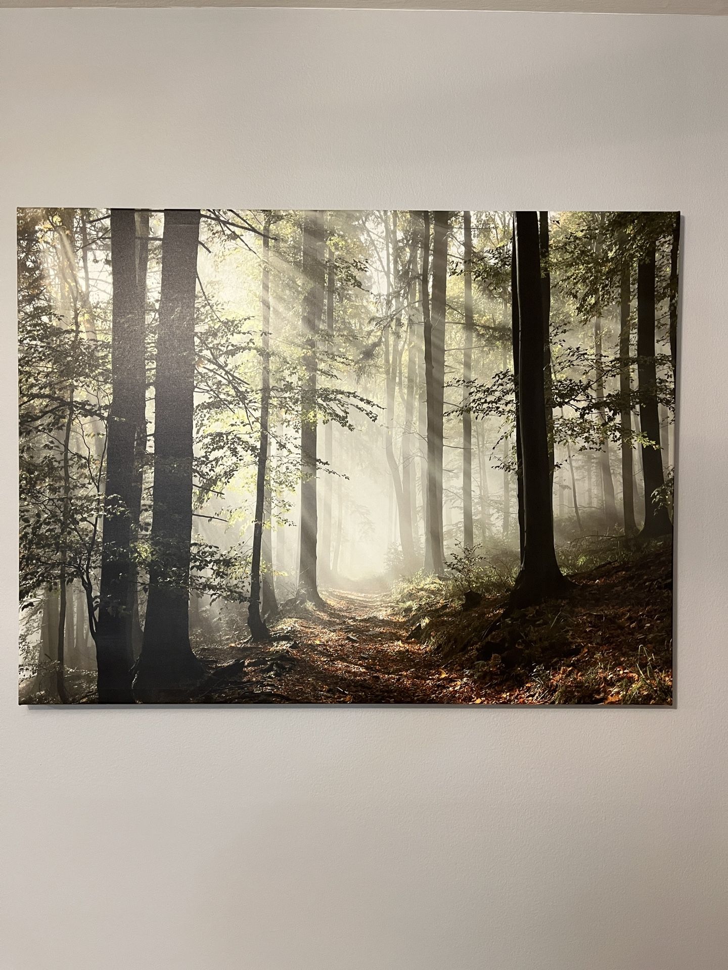 Canvas Printed Art 