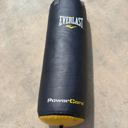 Everlast Power Core Heavy Bag, for Boxing, MMA, Fitness Training