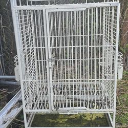 Big Cage Need Some Painting