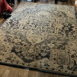 Beautiful 6x9  Carpet