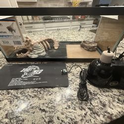 Juvenile Bearded Dragon Starter Set Up