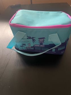 Trader Joe's Mini Insulated Lunch Bag