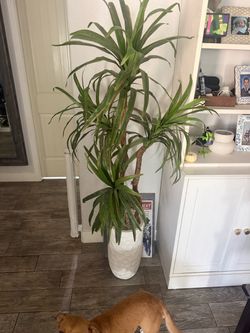 Fake plant and base palm style plant