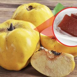 Quince tree 🌳💛