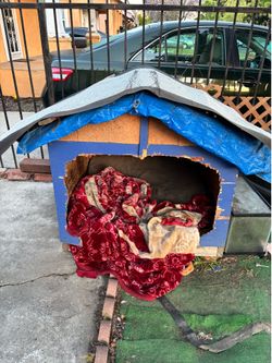 Dog house wood