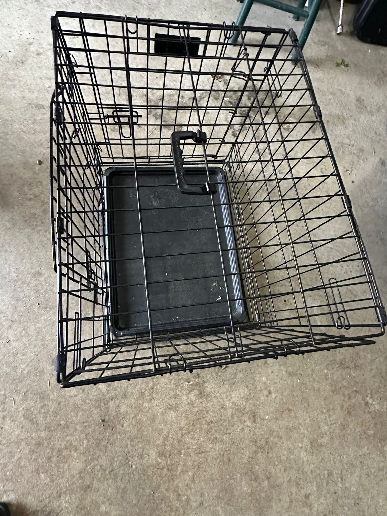Dog house