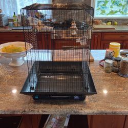 Bird Cage