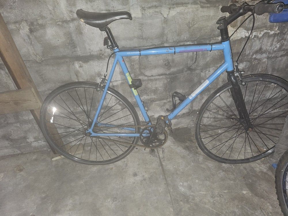 Janis Mens Bike
