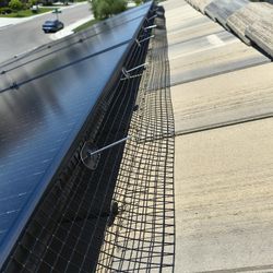 Bird Proofing 