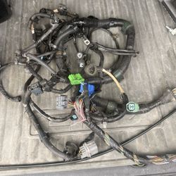 B Series Manual Harness